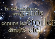 VAYÉRA – À la découverte d’Avraham – Ep.2