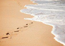 BÉCHALAH Analyse – Avancer tout droit !